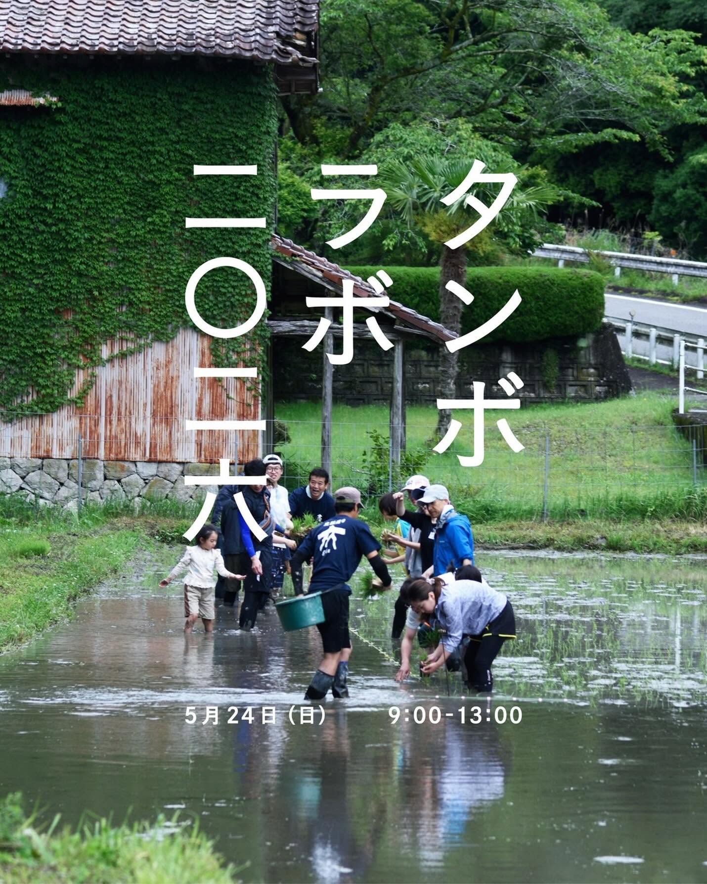 タンボラボ2026 田植え体験