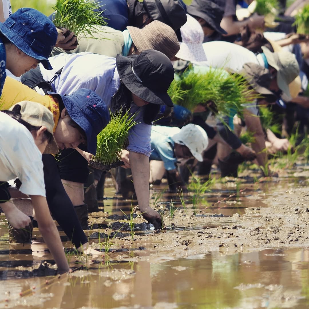 酒米の田植え体験イベント 2026